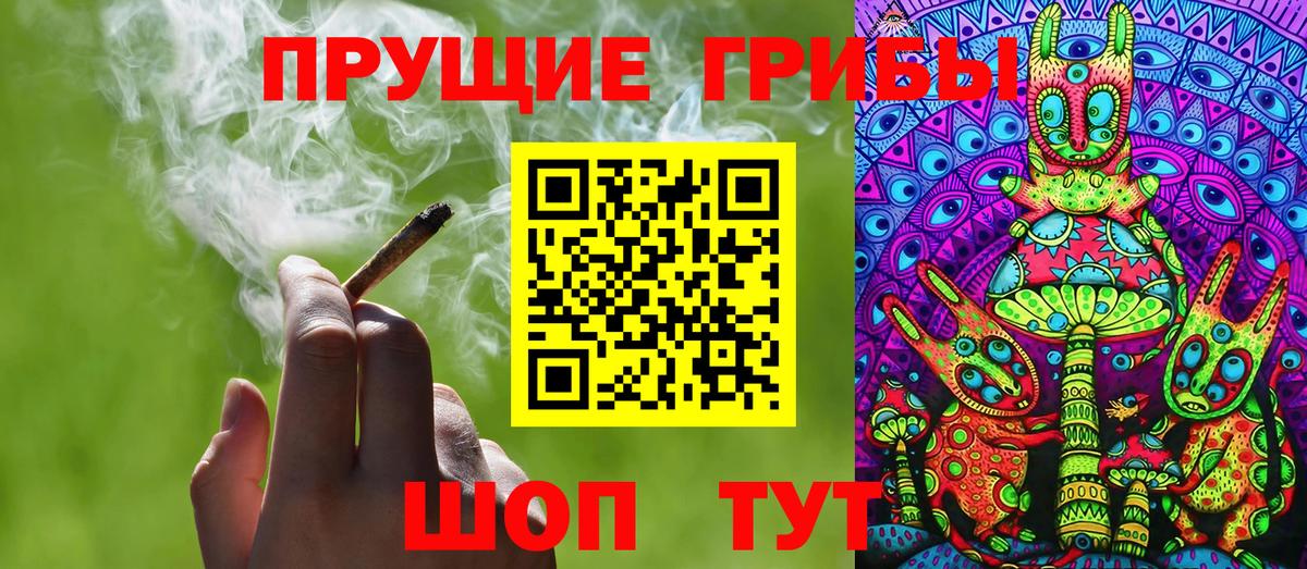 Галлюциногенные грибы мухоморы Берёзовский