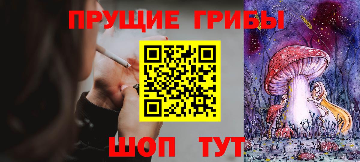 Псилоцибиновые грибы прущие грибы  хочу наркоту  Псилоцибиновые грибы прущие грибы  Берёзовский  Вход с VPN 